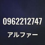 0962212747