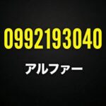 0992193040