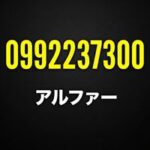 0992237300