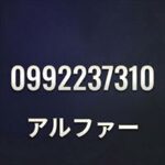 0992237310